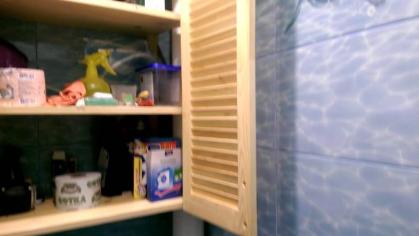 Cabinet avec des étagères dans les toilettes