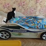 belmarco lit avec chat