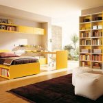 Chambre ensoleillée avec bibliothèques