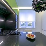 Concevez une cuisine étroite dans une maison à panneaux