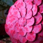 Coussin fleur rose pour la décoration