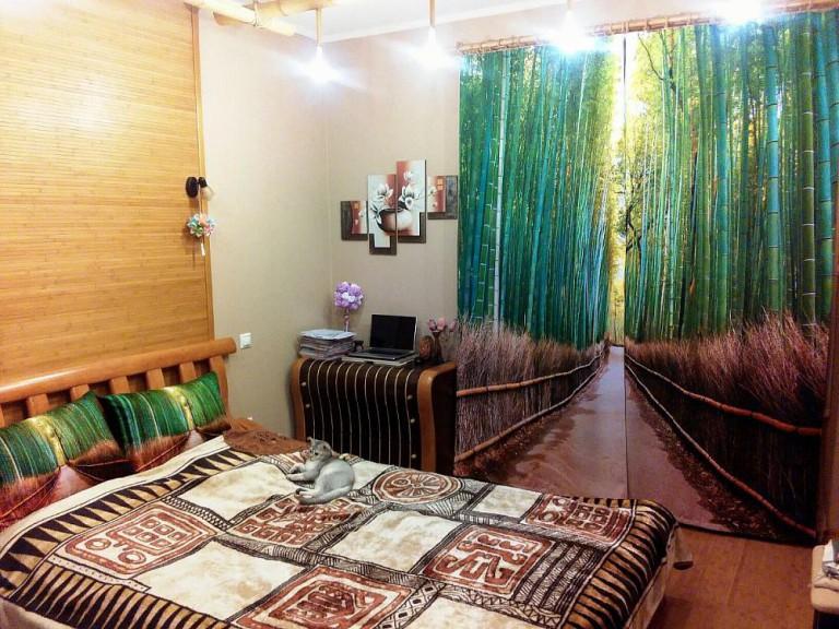 Forêt de bambous sur le rideau photo dans la chambre