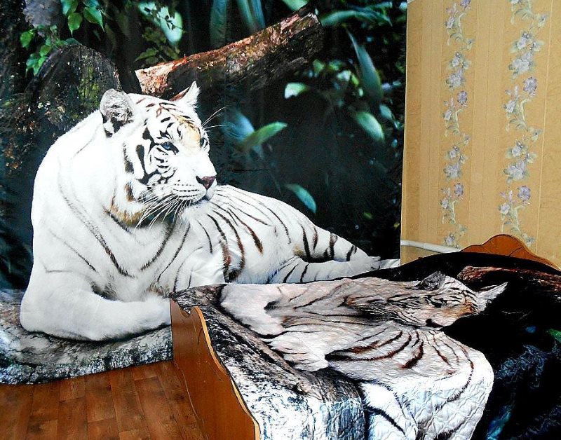 Tigre blanc sur un rideau en 3D à l'intérieur d'une vraie chambre