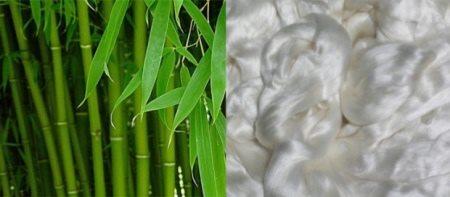 Bambou et fibre de bambou