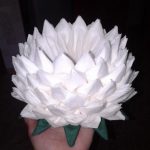 serviette en lotus blanc