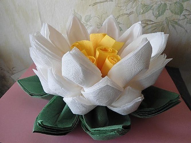 options de photo de serviette de lotus