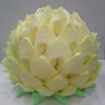 lotus de serviettes photo decoration