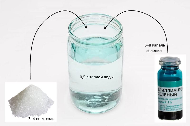 Schéma de la reproduction des verts et du sel dans l'eau pour la décoloration du tulle